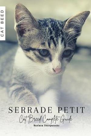 Serrade Petit: Cat Breed Complete Guide