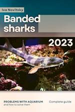 Banded sharks: Problems with aquarium and how to solve them 