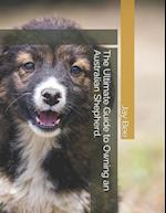 The Ultimate Guide to Owning an Australian Shepherd. 