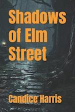 Shadows of Elm Street 