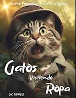 Gatos Vistiendo Ropa