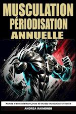 Musculation Périodisation Annuelle