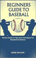 BEGINNERS GUIDE TO BASEBALL: Novice Guide To Tips And Techniques For Baseball Excellence 