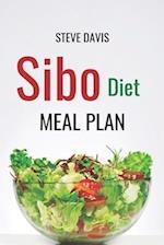 SIBO Diet Meal Plan: Gut-Healing Recipes for Digestive Wellness 