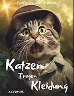 Katzen Tragen Kleidung