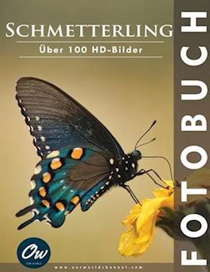 Schmetterling