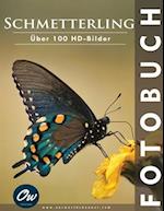 Schmetterling