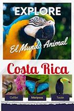 Explore el Mundo Animal de Costa Rica