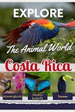 Explore the Animal World of Costa Rica