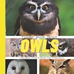 Toddler Book About Owls : A Picture Book for Preschoolers 