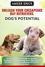 Unleash Your Chesapeake Bay Retrievers Dog's Potential