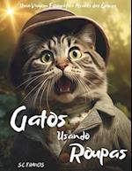 Gatos Usando Roupas