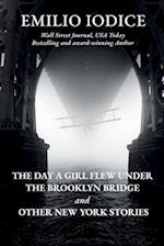 THE DAY A GIRL FLEW UNDER THE BROOKLYN BRIDGE AND OTHER NEW YORK STORIES 