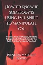 How To Know If Somebody Is Using Evil Spirit To Manipulate You : Unveiling The Dark Shadows,A Guide To Recognizing Evil Manipulations On Your Spirit A