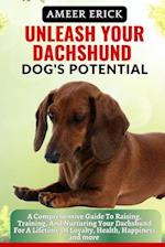 Unleash Your Dachshund Dog's Potential