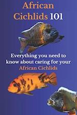 African Cichlids 101: Everything You Need to Know About Caring for Your African Cichlids 