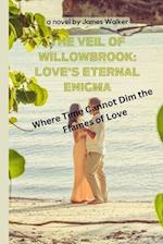 The Veil of Willowbrook: Love's Eternal Enigma: Where Time Cannot Dim the Flames of Love 