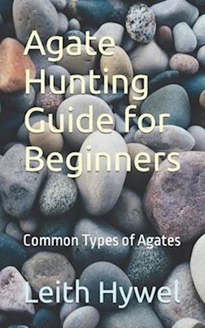 Agate Hunting Guide for Beginners: Common Types of Agates