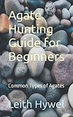 Agate Hunting Guide for Beginners: Common Types of Agates 