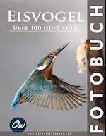 Eisvogel