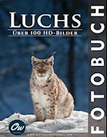 Luchs