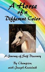 A Horse of a Different Color: A Journey of Self Discovery 