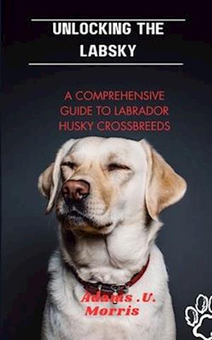 Unlocking the Labsky: A Comprehensive Guide to Labrador Husky Crossbreeds