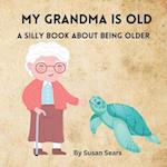 My Grandma Is OLD: A Book about Growing Older 
