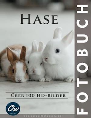 Hase