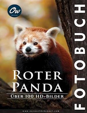 Roter Panda