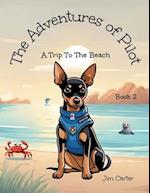 The Adventures of Pilot: A Trip to the Beach 