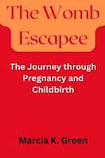 The Womb Escapee: The Journey through Pregnancy and Childbirth 