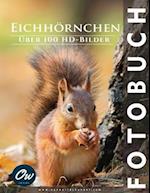 Eichhörnchen: Fotobuch 