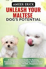 Unleash Your Maltese Dog's Potential