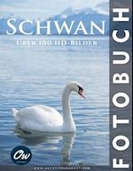 Schwan