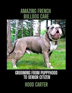 AMAZING FRENCH BULLDOG CARE: GROOMING FROM PUPPYHOOD TO SENIOR CITIZEN