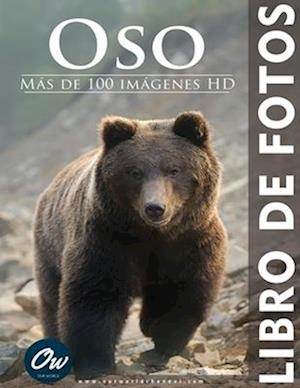 Oso