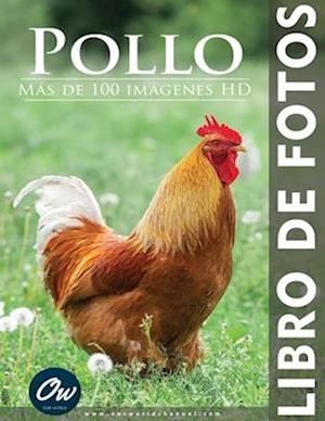 Pollo