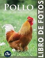 Pollo