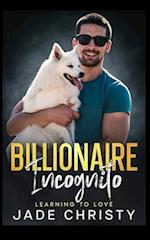 Billionaire Incognito: Learning to Love 