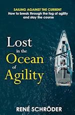 Lost in the Ocean of Agility