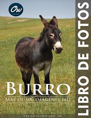 Burro