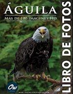 Águila