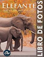 Elefante