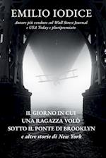 Il Giorno in Cui Una Ragazza Volò Sotto Il Ponte Di Brooklyn E Altre Storie Di New York