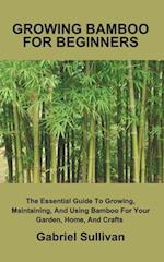 GROWING BAMBOO FOR BEGINNERS: The Essential Guide To Growing, Maintaining, And Using Bamboo For Your Garden, Home, And Crafts 