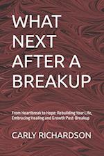 WHAT NEXT AFTER A BREAKUP: From Heartbreak to Hope: Rebuilding Your Life, Embracing Healing and Growth Post-Breakup 