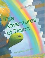 The Adventures of Tlaloc : The Traveling Little Turtle 