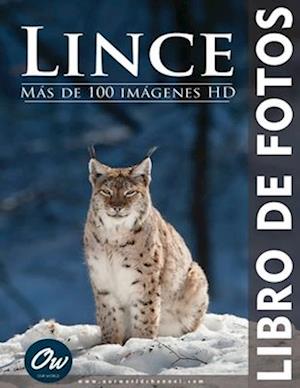 Lince