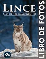 Lince